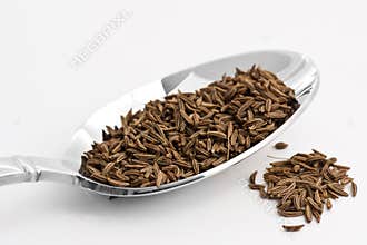 Caraway
