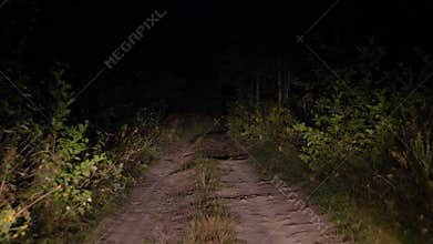 Driving On Bad Rural Road At Dusk In Light Of The Headlights In The Bush