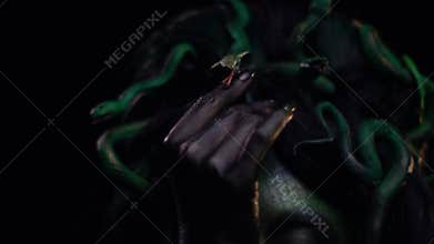 Gorgon Medusa pets a snake on her head, close up