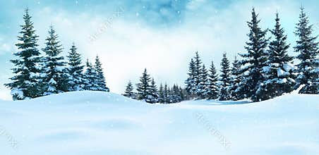 Beautiful winter landscape with snow covered trees.