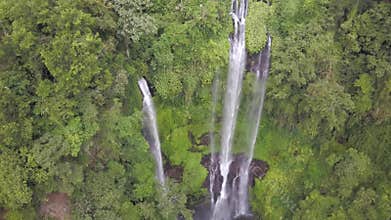 Waterfall in the wild jungle, the water falls down with a crash, the perfect place for admiring the wildlife