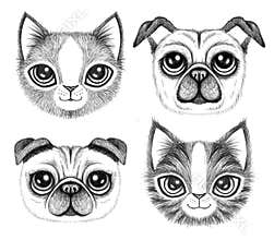 Four sketchy pen drawings of cute dogs and cats