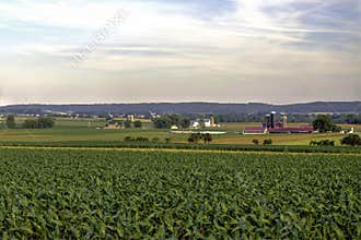 Fields of agriculture in its beginning stage at a country farm