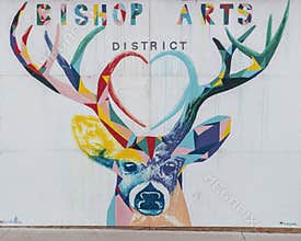 Buck mural Bishop Arts District, Dallas, Texas