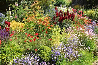 Cottage garden in Great Dixter House & Gardens in the summer.