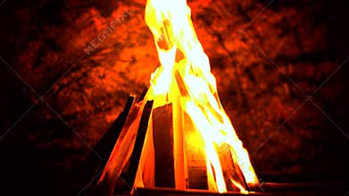 Beautiful fire
