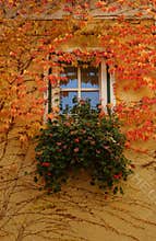 Autumn window