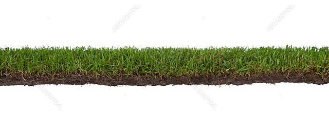 Grass with roots and dirt