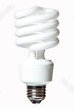 CFL Light Bulb