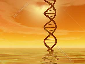 DNA landscape