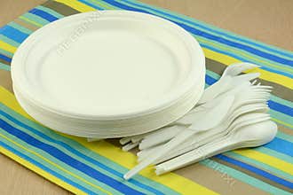 Eco-friendly disposable plates and cultery