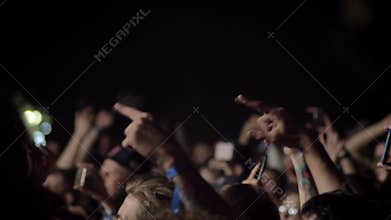 Crowd raising their hands and cheering at rock concert at night