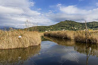 A beautiful sky is reflected in Lake Massaciuccoli, Lucca, Italy