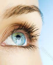Eye of woman