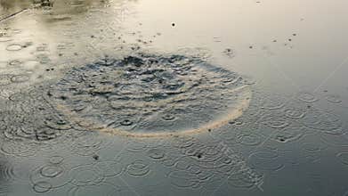 Throw pepble into the water in summer river