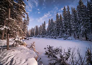 Winter wonderland in Fish Creek Park with bright blue sky.