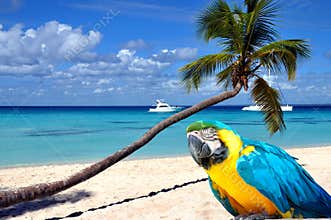 Caribbean beach