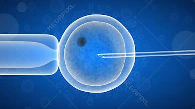 artificial insemination of a female egg.
