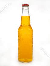 Beer Bottle