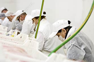 Food processing line