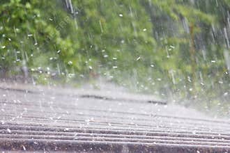 Summer rain with hail