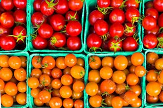 Cartons of orange and red variety of ripe cherry tomatoes