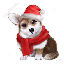 Cute corgi in santa claus hat, watercolor style illustration, holiday clipart, dog portrait