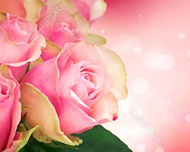 Rose Flower Art Design