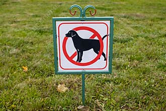 Close-up of no dog sign. Street pointer on a background of green grass. Ban on defecation and running of pets on park lawns and