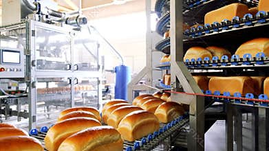 Loafs of bread in a bakery on an automated conveyor belt