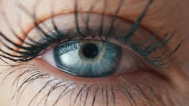 Opening and blinking female eye with a blue iris and long lashes painted with mascara. Gray eye close up of the iris and