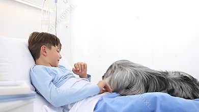 Dog therapy, llonely and sick child lying in hospital bed is cheered by the happiness of the dog
