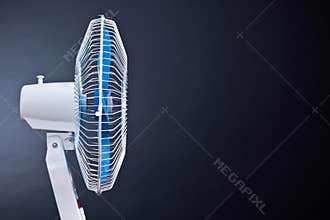 The fan