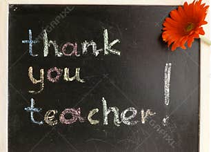 Thank You Teacher!
