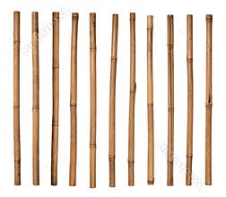 Bamboo sticks
