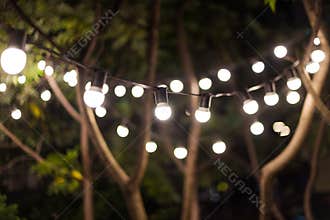 Blurred background, backyard illumination, light in the evening garden, electric lanterns with round diffuser. Lamp garland of