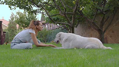 Beautiful woman with pet dog. girl on halt with dog. Mistress plays with hunting hound. Happy woman breeder dog walks