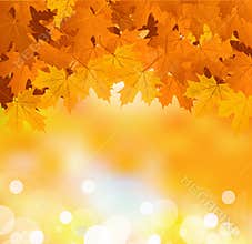 Vector autumn leaves on a bright sunny background