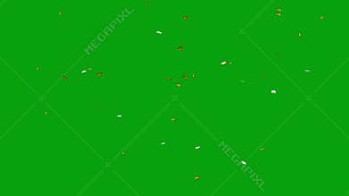 Flying butterflies green screen motion graphics