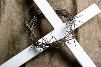 Crown of thorns