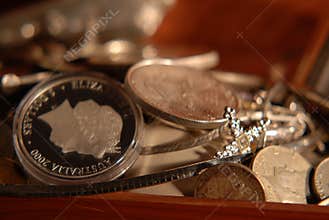 Silver Treasure