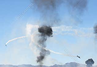 Circling their Kill