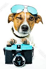 Dog with shades and a photo camera