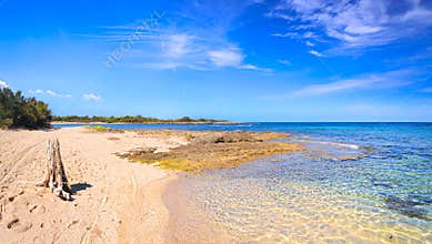 Torre Guaceto Nature Reserve in Apulia, Italy: view of the beach and the dunes.