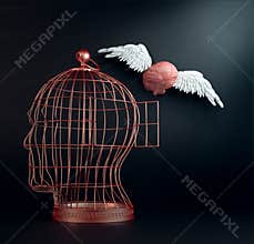 Winged brain