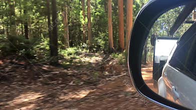 Side mirror view reflection of car and caravan driving in a forest during road trip in Australia