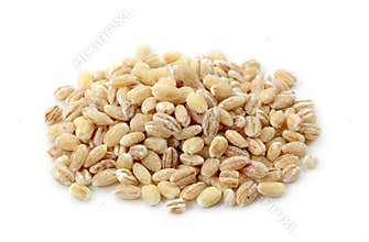 Barley