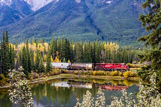 Canadian Pacific train passes over Mule Shoe. banff National Park Alberta Canada