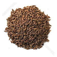 Caraway seeds isolated on white background. Cumin top view, studio shooting.