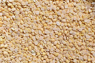 Split Hyacinth legume